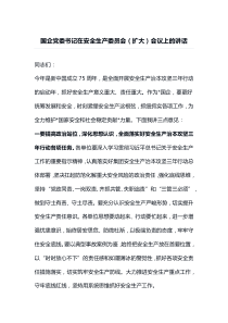 国企党委书记在安全生产委员会扩大会议上的讲话