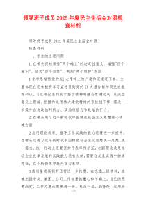 领导班子成员2025年度民主生活会对照检查材料