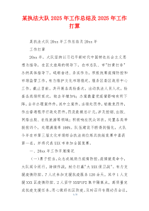 某执法大队2025年工作总结及2025年工作打算