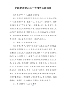 支部党员学习二十大报告心得体会