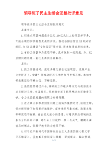 领导班子民主生活会互相批评意见