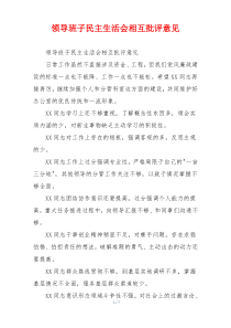 领导班子民主生活会相互批评意见