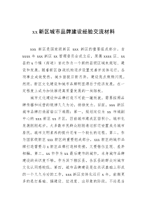 xx新区城市品牌建设经验交流材料