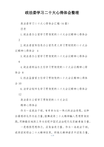 政法委学习二十大心得体会整理