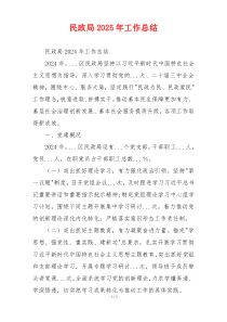 民政局2025年工作总结