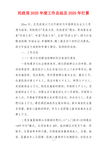 民政局2025年度工作总结及2025年打算