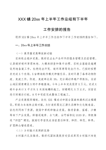 工作总结XX镇20XX年上半年工作总结及下半年工作安排