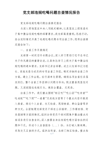 党支部违规吃喝问题自查情况报告