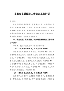 20XX年县长在县委经济工作会议上的讲话