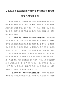 工作总结X县委关于中央巡视整改省市督查反馈问题整改落实情况的专题报告