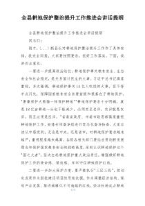 全县耕地保护整治提升工作推进会讲话提纲