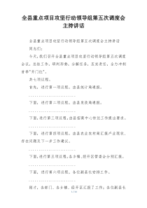 全县重点项目攻坚行动领导组第五次调度会主持讲话