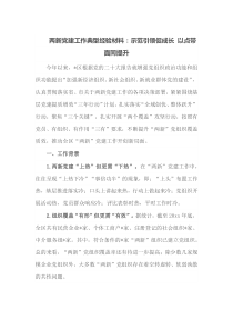 两新党建工作典型经验材料示范引领促成长以点带面同提升