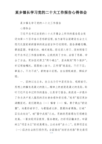 某乡镇长学习党的二十大工作报告心得体会