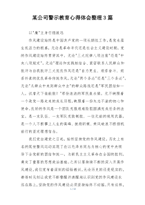 某公司警示教育心得体会整理3篇