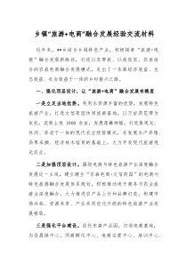 乡镇旅游电商融合发展经验交流材料