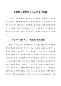 工作总结县委办公室主任个人三年工作总结范文述职报告1