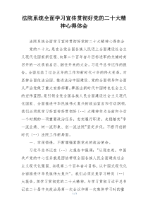法院系统全面学习宣传贯彻好党的二十大精神心得体会