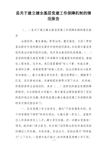 县关于建立健全基层党建工作保障机制的情况报告