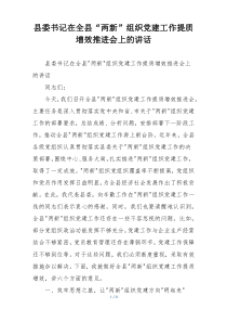 县委书记在全县“两新”组织党建工作提质增效推进会上的讲话
