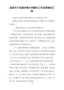 县委关于违规吃喝专项整治工作进展情况汇报
