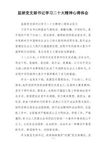 监狱党支部书记学习二十大精神心得体会