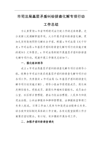 工作总结市司法局基层矛盾纠纷排查化解专项行动工作总结