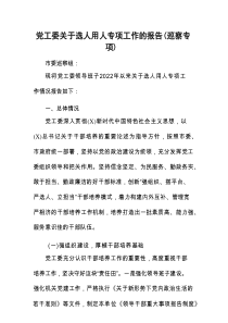 选人用人专项工作总结报告（巡察专项）