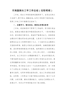 工作总结市局副局长三年工作总结任职考核