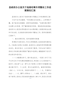 县政府办公室关于违规吃喝专项整治工作进展情况汇报