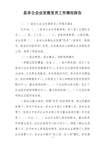 县非公企业发展党员工作情况报告