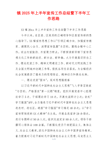 镇2025年上半年宣传工作总结暨下半年工作思路