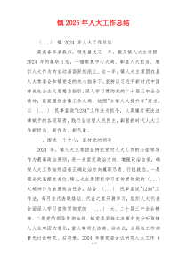 镇2025年人大工作总结
