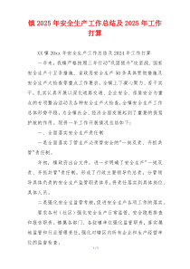 镇2025年安全生产工作总结及2025年工作打算