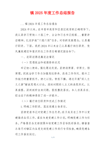 镇2025年度工作总结报告