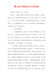 镇2025年政务公开工作总结