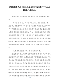 纪委监委办公室主任学习中央纪委三次全会精神心得体会