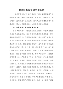 工作总结某县税务局党建工作总结