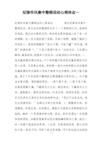 纪律作风集中整顿活动心得体会一