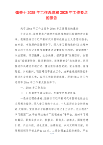 镇关于2025年工作总结和2025年工作要点的报告