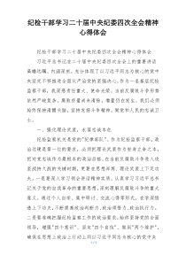 纪检干部学习二十届中央纪委四次全会精神心得体会