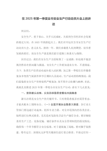 在2025年第一季度全市安全生产行动动员大会上的讲话
