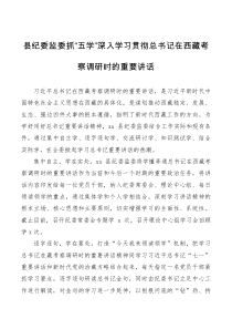 工作总结贯彻落实情况县纪委监委抓五学深入学习贯彻总书记在西藏考察调研时的重要讲话精神范文工作典型经验