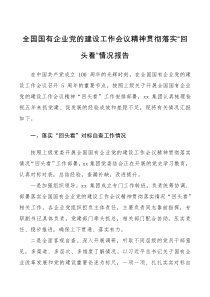 工作总结贯彻落实报告全国国有企业党的建设工作会议精神贯彻落实回头看情况报告范文工作汇报总结