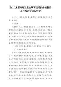 在XX集团推进涉重金属环境污染排查整治工作动员会上的讲话