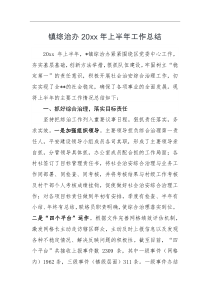 工作总结镇综治办20XX年上半年工作总结