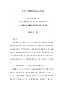 在2025年经济工作会议上的讲话