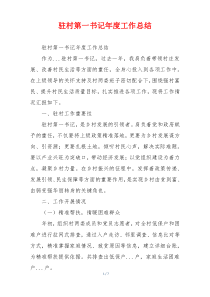 驻村第一书记年度工作总结