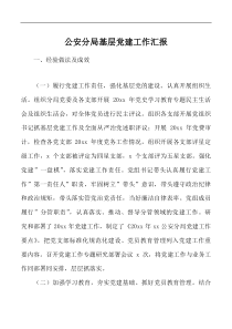 公安分局基层党建工作汇报经验问题建议