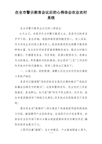 在全市警示教育会议后的心得体会农业农村系统